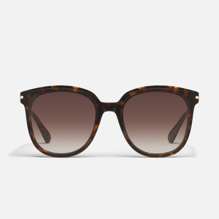 Quay Rent Free - Neutral Tort / Brown