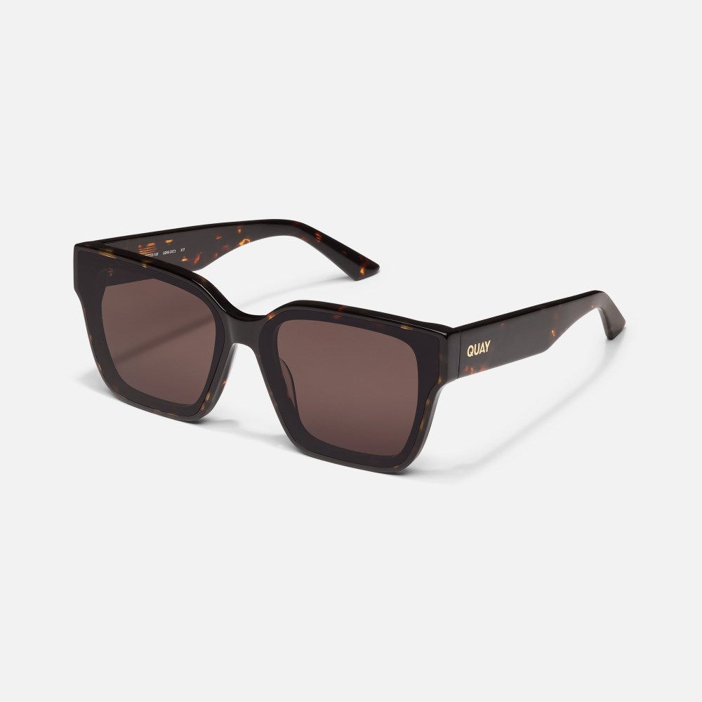 Quay Drive In - Dark Tort / Brown