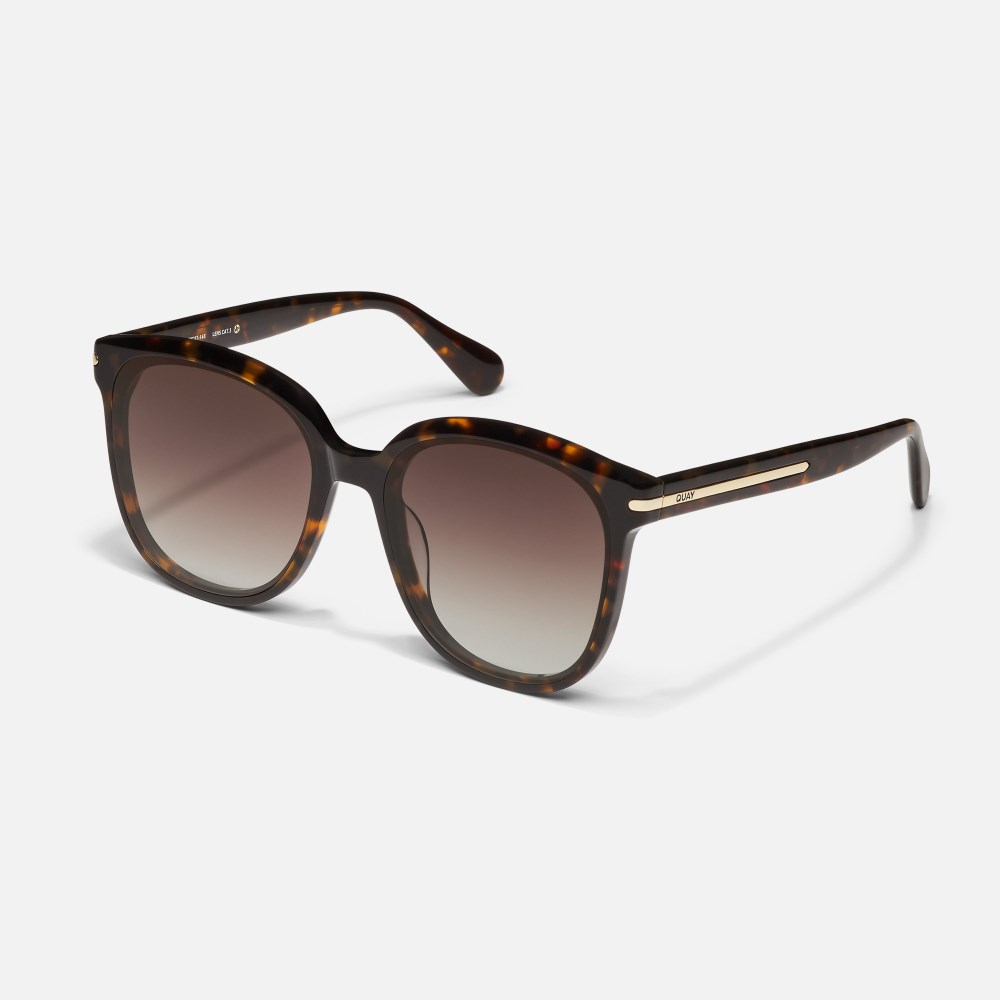 Quay Rent Free - Neutral Tort / Brown